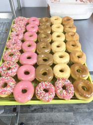 Bastrop Donuts #1