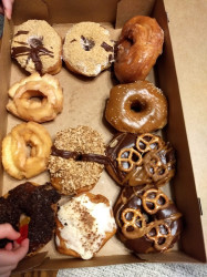 Bearscat Bakehouse - Bismarck