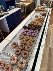 Bismarck Doughnuts