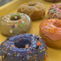Blondies Daylight Donuts