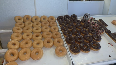 Cougar Donuts