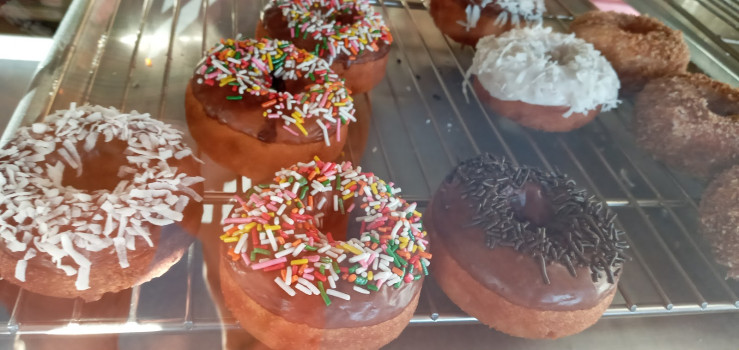 D K's Donuts/ FISH GAME