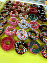 Daily Cream Donut
