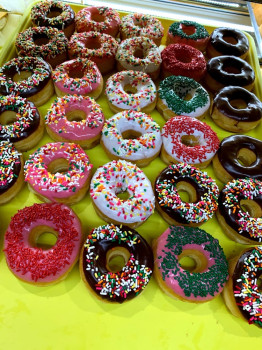 Daily Cream Donut