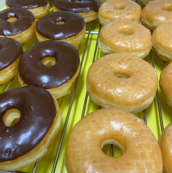 Daily Donuts Paradise