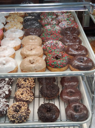 Danielle's Donuts