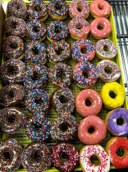 Delicious Donut