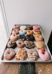 Donut Bar + Coffee