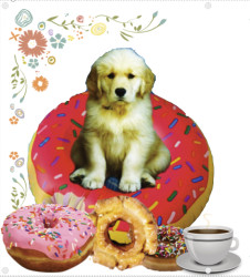 DONUT BEACH
