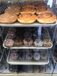 Donut Club