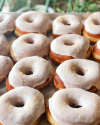 Donut Galore