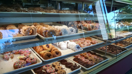 Donut Land