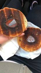 Donut's