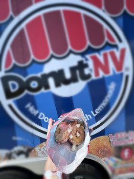 DonutNV Apollo Beach