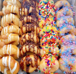 DonutNV Fort Myers