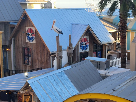DonutNV of the Emerald Coast