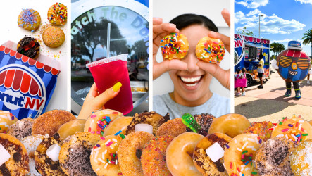 DonutNV Spring & Conroe