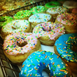 Fort Findlay Coffee & Doughnut Shoppe