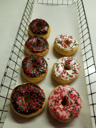Four Season Donuts