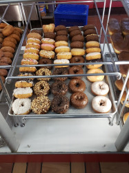 Fresh Doughnuts
