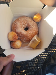 Gourdough's Big Fat Donuts & Coffee