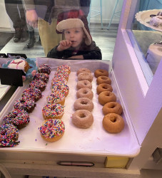 Heidi Ho Donuts