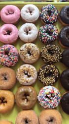 Homie Donuts