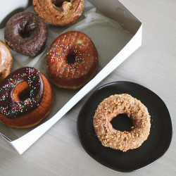 KNEAD Doughnuts