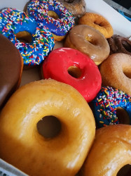 Kristin Donuts