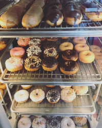 M Donut
