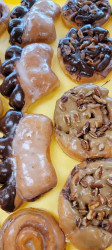 MAJOR DONUT