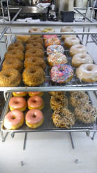 Manley Donuts