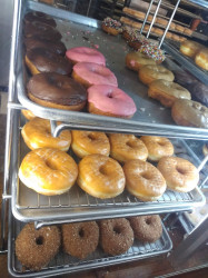 Ms. Donuts & Ice Cream