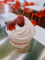 Orange Leaf Frozen Yogurt