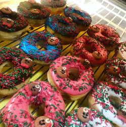 Palestine Donuts