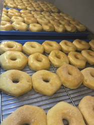 Paradise Donut