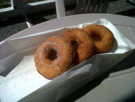 Payne's Donuts