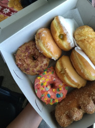 Pink Dozen Donuts