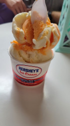 Polly's Coffee & Ice Cream Shoppe