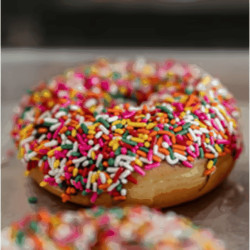 Providence Bagel