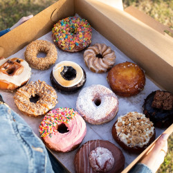 PVDonuts
