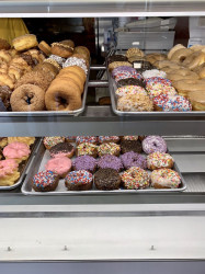 Scotty's Doughnuts & Teriyaki Chicken