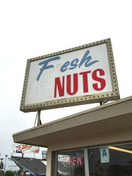 Star Dust Donut Shop