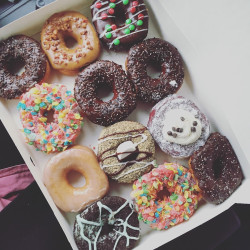 The Donut Kitchen - Stonebridge Ranch