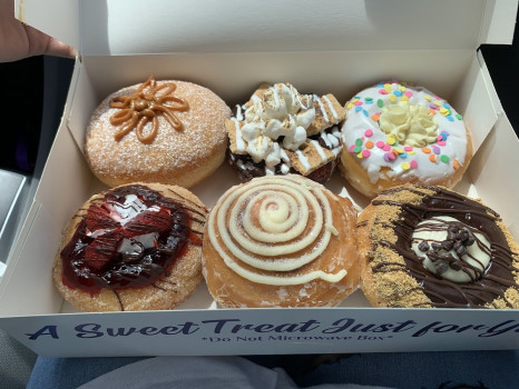 The Hollywood Donut Factory @ Bird Road