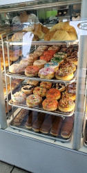 Thompson Donuts