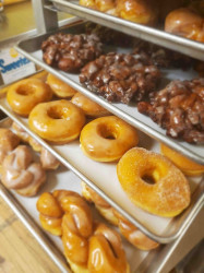 Tiffiny's Tipton Bakery