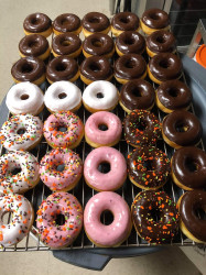 Today's Donuts