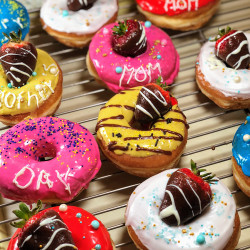 Universal Donuts