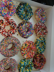 Verdigris Daylight Donuts